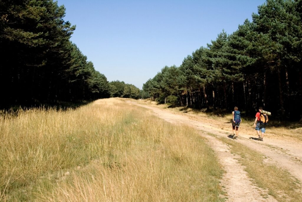 Ruta en el camino Portugués